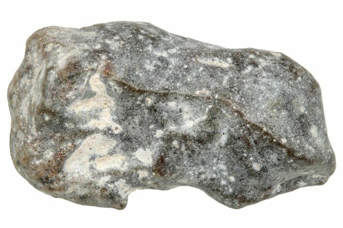 Lunar Meteorite ( g) - NWA #304731